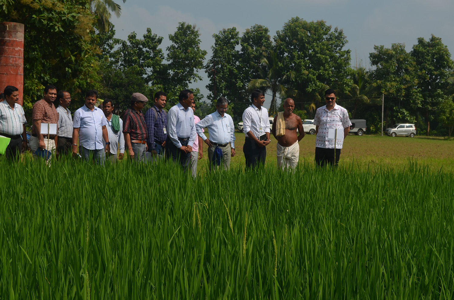 Department of Agriculture and Farmers Welfare of the Government of