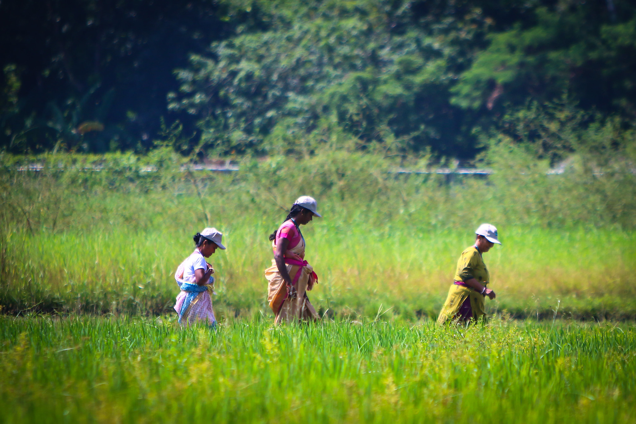 HER+ Stakeholder paves the way for piloting Learning Labs in