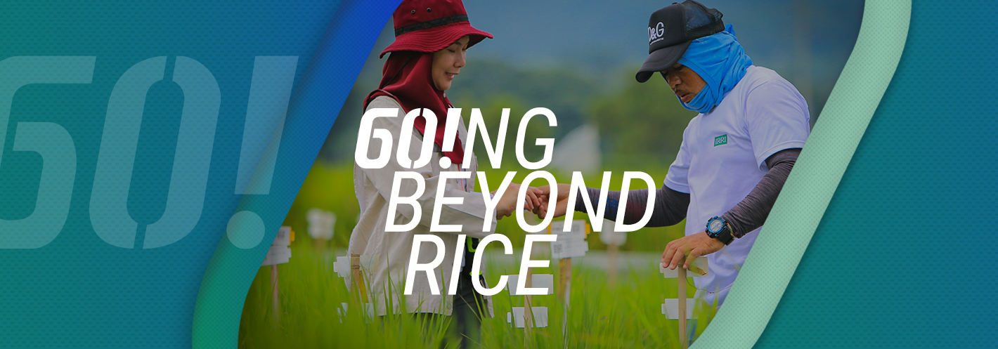 International Rice Research Institute